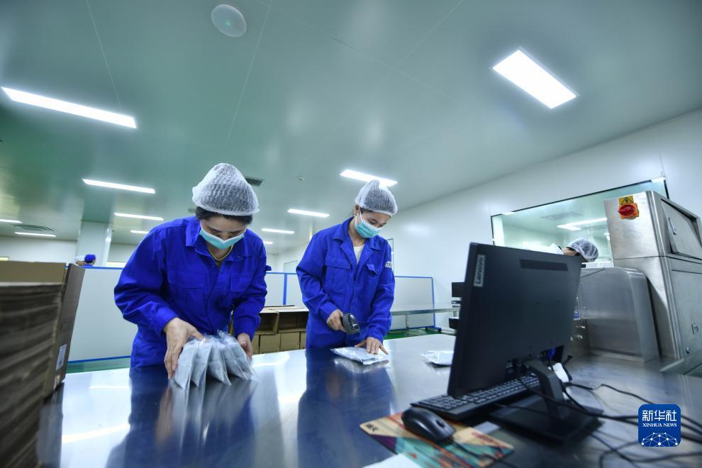 鑫汇电玩官方网站